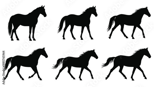 Six black horse silhouettes in various poses a striking visual silhouette