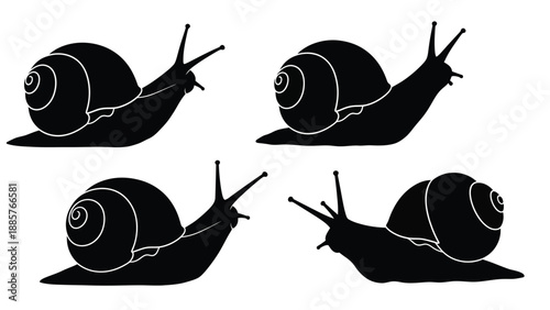 Four black snail silhouettes crawling on a white background silhouette