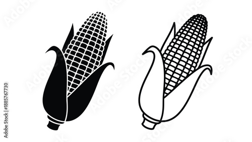 Two corn cobs displayed with contrasting styles a striking silhouette