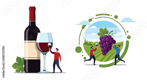 Two illustrations about winemaking, one with a bottle and glass of red wine, the other showing men harvesting grapes in a vineyard.