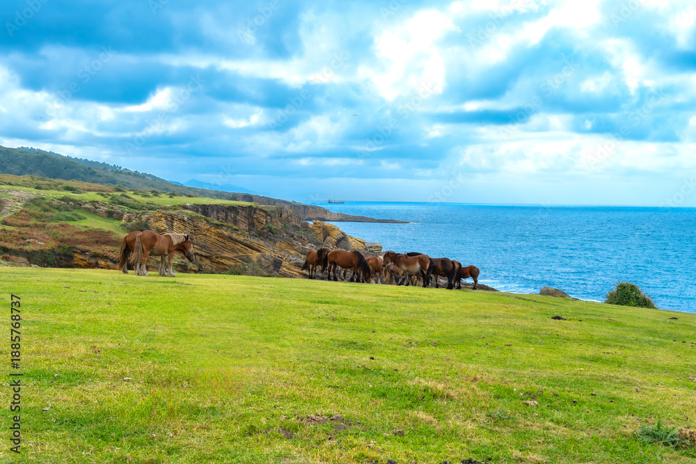 Fototapeta premium Wild horses grazing cliffside mount jaizkibel basque country