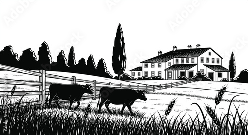 Rural farm landscape illustration, cows grazing pasture, countryside farmhouse scene, black and white vintage style agricultural nature artwork