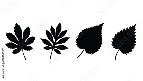 Four distinct leaf shapes presented as black silhouettes