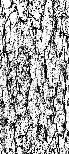 Texture of tree bark