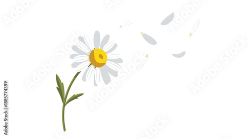 Simple and elegant illustration of a white daisy flower with a yellow center, with petals detaching and floating in the wind.