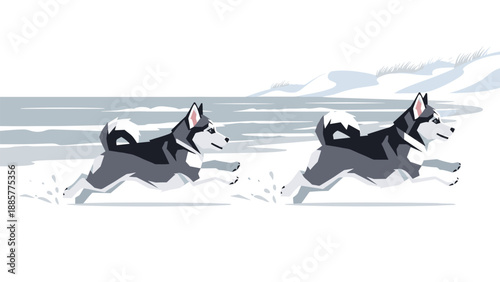 Two energetic Siberian husky dogs running side-by-side through a snowy landscape, kicking up fresh white snow.