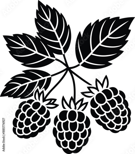 Raspberry silhouette illustration, berry fruit with leaves, black vector icon, organic harvest design, isolated botanical clipart, minimal