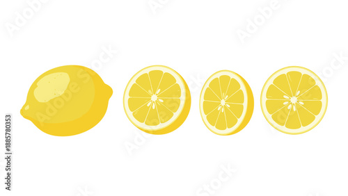 Set of fresh yellow lemon illustrations, including a whole lemon and several cross-section slices showing the juicy citrus pulp.