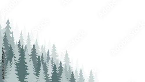 Misty forest landscape background with silhouettes of green pine trees fading into the fog on a white, expansive backdrop.