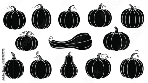Collection of solid black pumpkin and squash silhouettes in various shapes and sizes for autumn and Halloween designs.