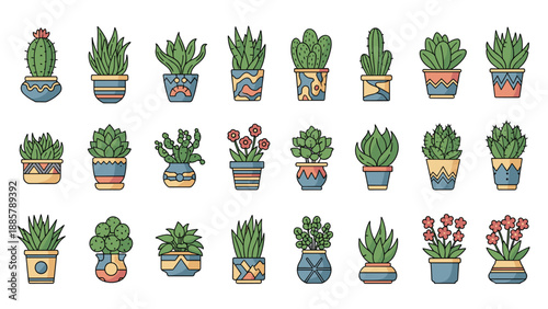 Colorful grid of various succulent and cactus species in uniquely decorated ceramic pots for plant lovers and indoor gardening enthusiasts.