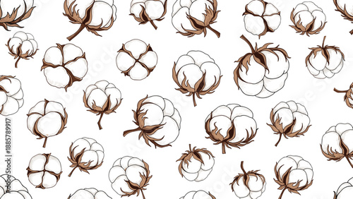 Seamless pattern background featuring hand drawn cotton bolls and branches in a vintage botanical style over a plain white surface.