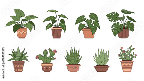 Assorted collection of indoor potted plants and flowering cacti presented in colorful decorative ceramic pots as flat vector illustrations.