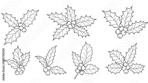 Black and white line drawings of various holly berry clusters with prickly leaves for winter and holiday decoration.