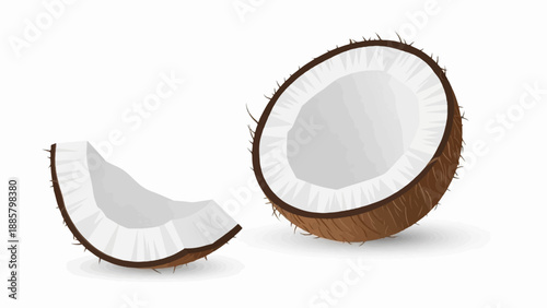 Half a ripe coconut and a wedge, revealing white flesh and brown husk