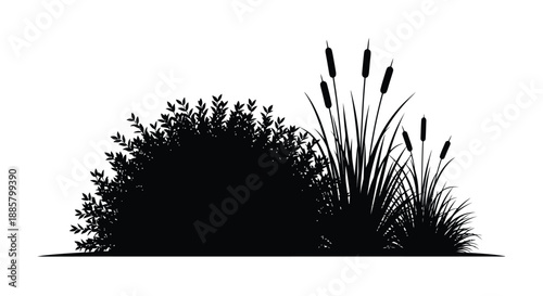 Silhouetted wetland vegetation including cattails and dense shrubbery against a bright background
