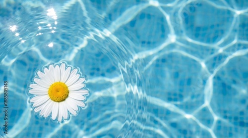 A single daisy floats serenely on the surface of crystalline blue water in a sunlit pool, its petals reflecting the purity of the surrounding environment, creating a soothing and beautiful scene.