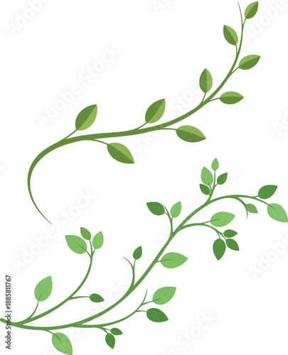 Minimal green botanical vine branch elements.