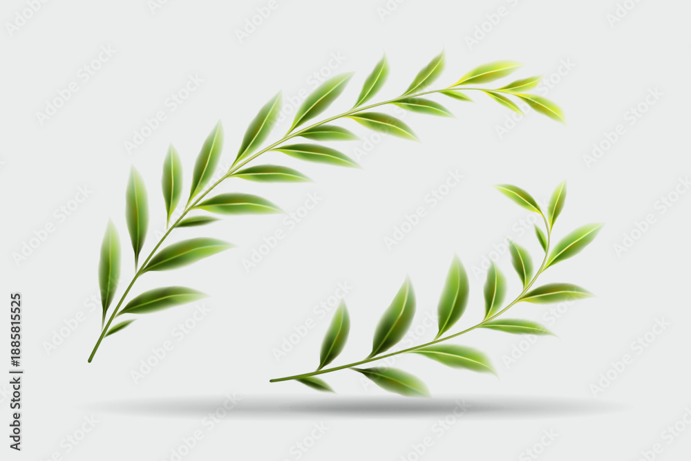 Obraz premium Realistic green willow branches with fresh leaves forming a graceful arch on a light grey background with soft shadow. Vector illustration.