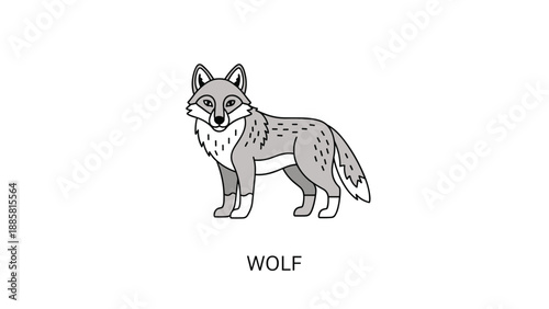 Detailed illustration of a gray wolf standing in profile with text label Wolf underneath against a plain white background.