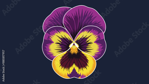 Beautiful purple and yellow pansy flower illustration in close-up detail against a dark background for floral design projects.