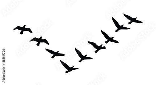 A minimalist depiction of a flock of birds in flight against a white background