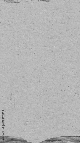 Light Gray Textured Paper with Torn Edges and Subtle Imperfections