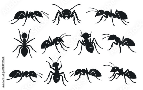 Simple silhouette ant set featuring various poses for nature and pest control design