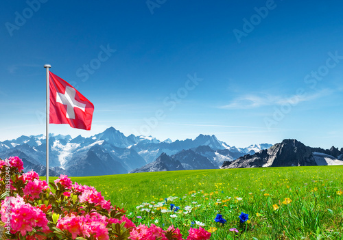 Schweizer Flagge mit Gebirge, Alpenrosen und enzian