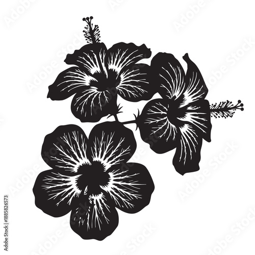 Black and white hibiscus flowers with detailed petals and stems in a minimalist style