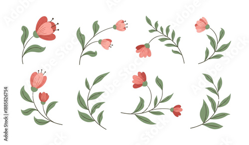 Charming nature inspired floral design elements with soft botanical illustration isolated on transparent background