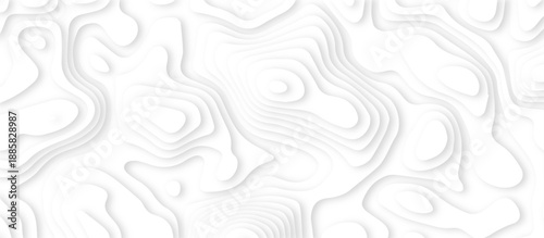 Abstract White Paper cut background. Modern 3d Paper cut background. Geometric map relief texture with curved layers and shadow. Topographic canyon map light relief texture. Vector illustration.