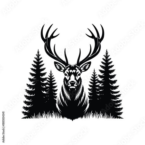 Majestic stag antlers forest silhouette wildlife nature majestic majestic majestic majestic majestic majestic majestic majestic majestic majestic majestic majestic majestic majestic