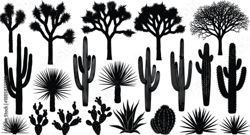 Desert plants and cactus silhouettes vector set with Joshua trees succulents and agave, arid landscape botanical elements collection for nature design