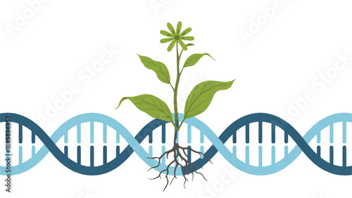 A minimalist digital illustration of a DNA strand with a growing plant emerging from its base (1)_traced