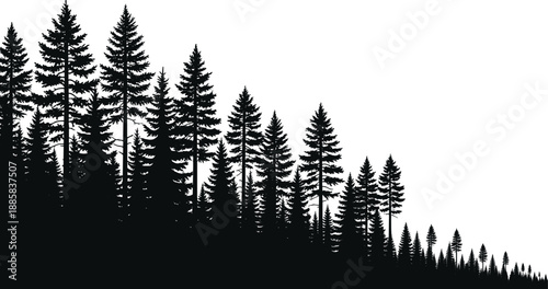 Pine forest silhouette landscape vector illustration with evergreen trees on hillside, minimalist woodland nature scene for background design and branding