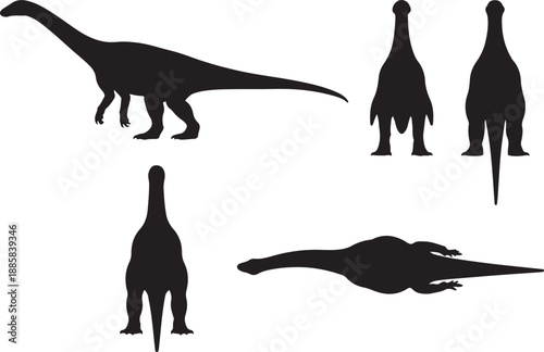 Sauropod Dinosaur Silhouette Vector Set: Prehistoric Herbivore Giant in Multiple Views (Side, Top, Bottom) - Detailed Paleontology Icon and Clip Art Collection for Educational Design
