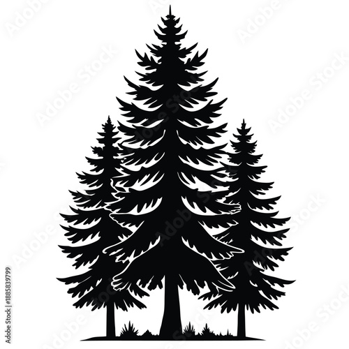 Three coniferous trees create a dense forest canopy in a stark, striking silhouette