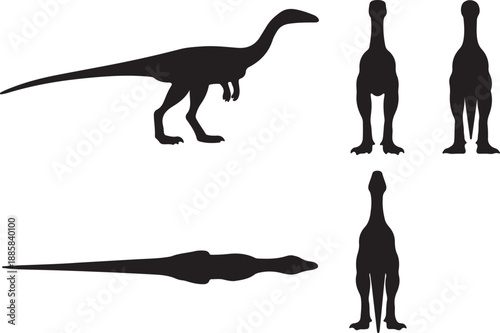 Detailed Vector Silhouette of a Small Theropod Dinosaur (Coelophysis Type) in Multiple Orthographic Views - Perfect for Paleontology Graphics, Educational Resources, and Jurassic Era Designs.