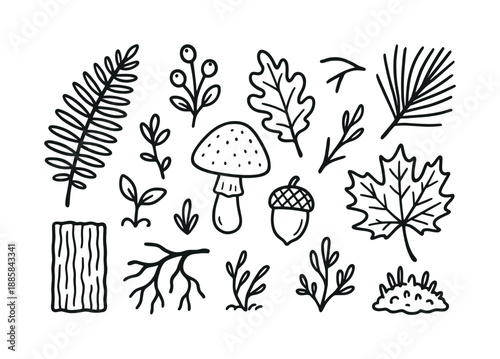 Forest Foliage Illustration. Forest foliage. Hand-drawn doodle illustration forest foliage fern, oak leaf, maple leaf, pine needles, berries, mushroom, acorn,