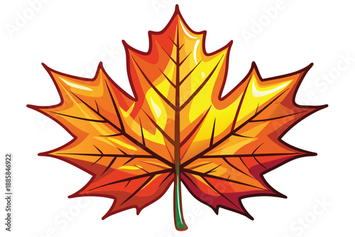 Cartoon maple leaf showcases autumnal colors with outlined shapes on a white background