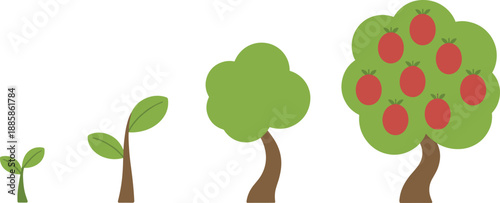 Plant growth stages illustration, sprout to fruit-bearing tree, botanical development, agriculture cycle, nature concept, seasonal harvest, educational biology graphic