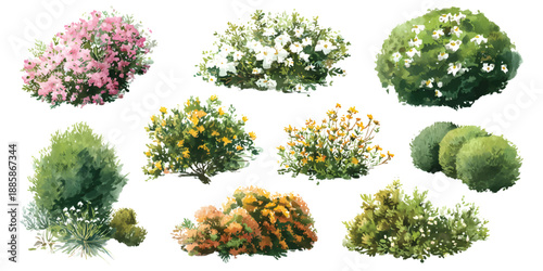 Bushes shrub flower landscaping gardening architecture elements watercolor set isolated on transparent background