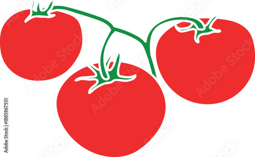 Red ripe tomato fruits isolated on white background