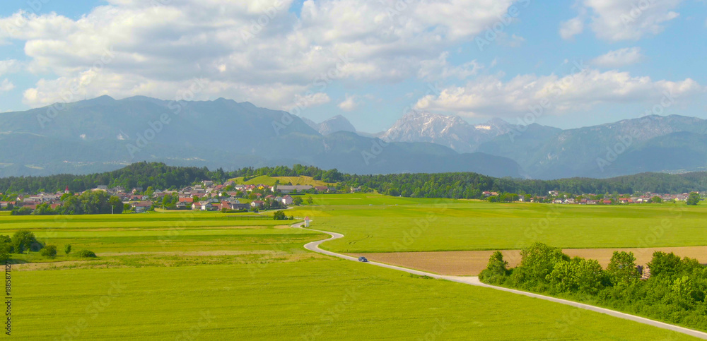 Fototapeta premium DRONE: Car drives along an empty country road leading past the fields of wheat.