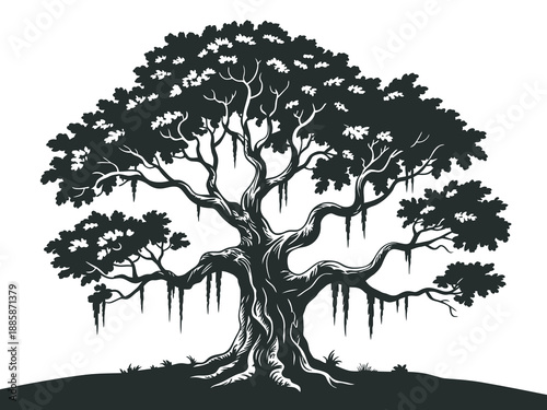 Spanish moss hanging from live oak tree silhouette, vector artwork, southern landscape, natural scenery graphics, botanical study, garden design, vector nature illustration elements