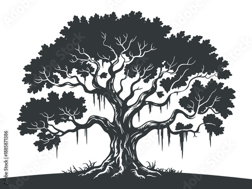 Spanish moss hanging from live oak tree silhouette, vector illustration, southern nature scenery, landscape graphics, botanical study, garden design, outdoor vector elements
