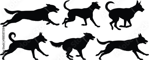 Black vector silhouettes of running horses and other animals in a wildlife collection
