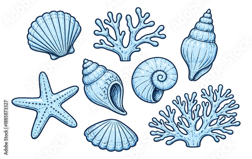 Hand drawn line art marine life elements set featuring starfish, various seashells, and coral branches for beach and ocean themes