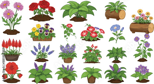Flower Plants Garden Collection Illustration Showing Colorful Blossoms Potted Flowers And Decorative Botanical Nature Vector Set